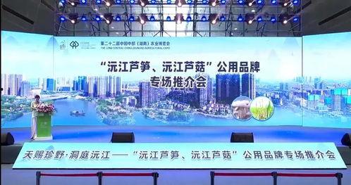 沅江市新闻爆料网,聚焦本土热点，传递最新资讯